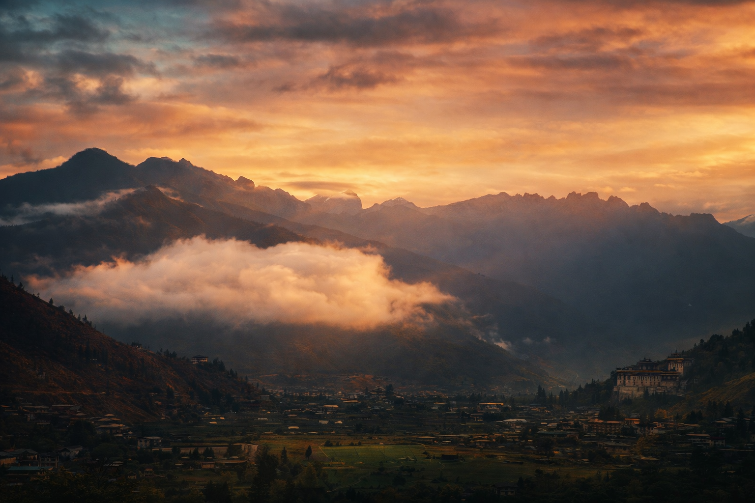 Tashi Studio background